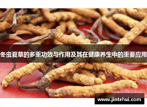 冬虫夏草的多重功效与作用及其在健康养生中的重要应用