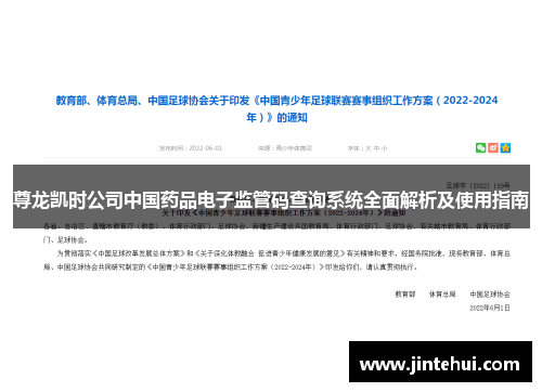 尊龙凯时公司中国药品电子监管码查询系统全面解析及使用指南