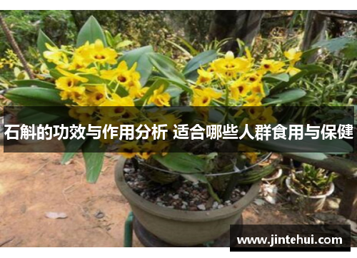 石斛的功效与作用分析 适合哪些人群食用与保健